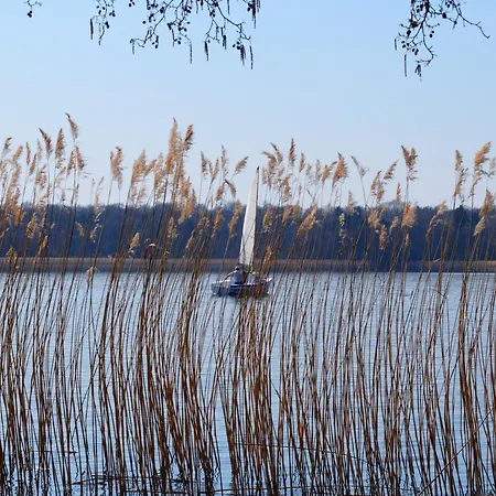 Casa de hóspedes Sosnówka Gościnne 3*