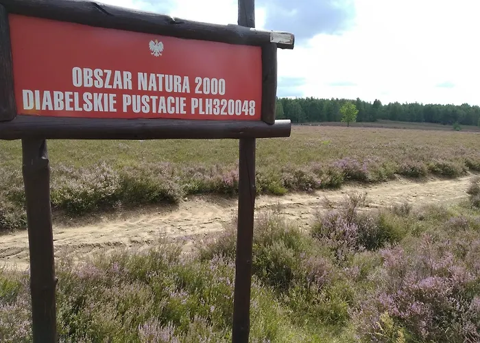 Pensjonat Sosnówka Gościnne