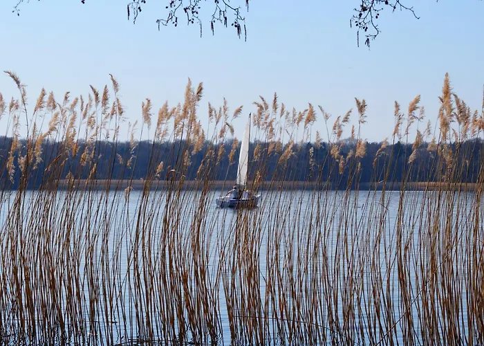 Pensjonat Sosnówka Gościnne 3*
